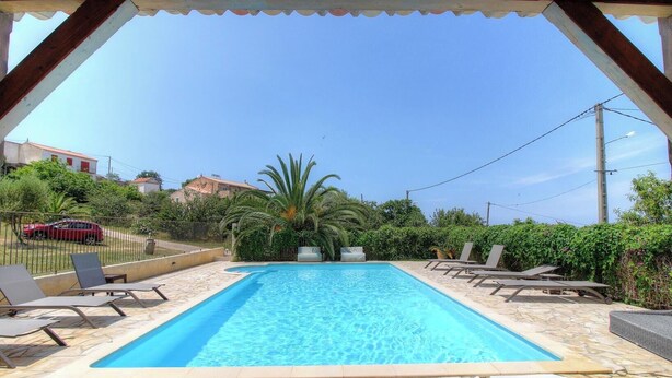 Una piscina rettangolare con lettini e una palma.