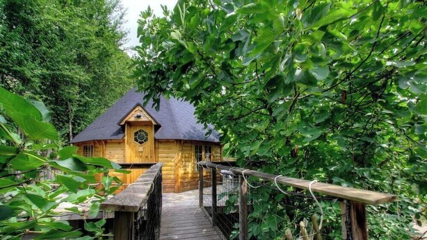 Una cabaña de madera con techo de paja, rodeada de abundante vegetación y accesible por un puente de madera.