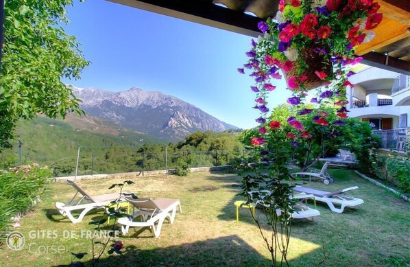 Terrace/patio - Vrbo Property (MURACCIOLE)
