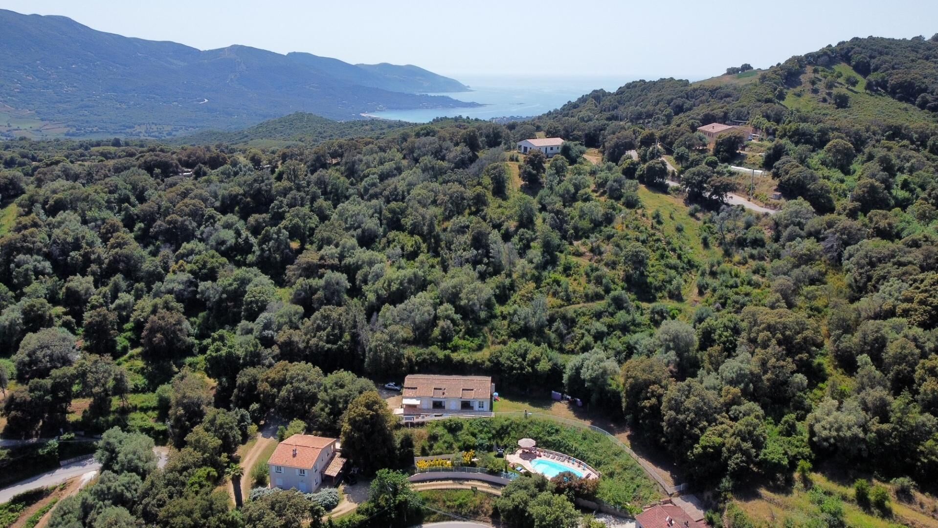Eine Villa, umgeben von dichtem Wald, mit Swimmingpool und Blick aufs Meer.