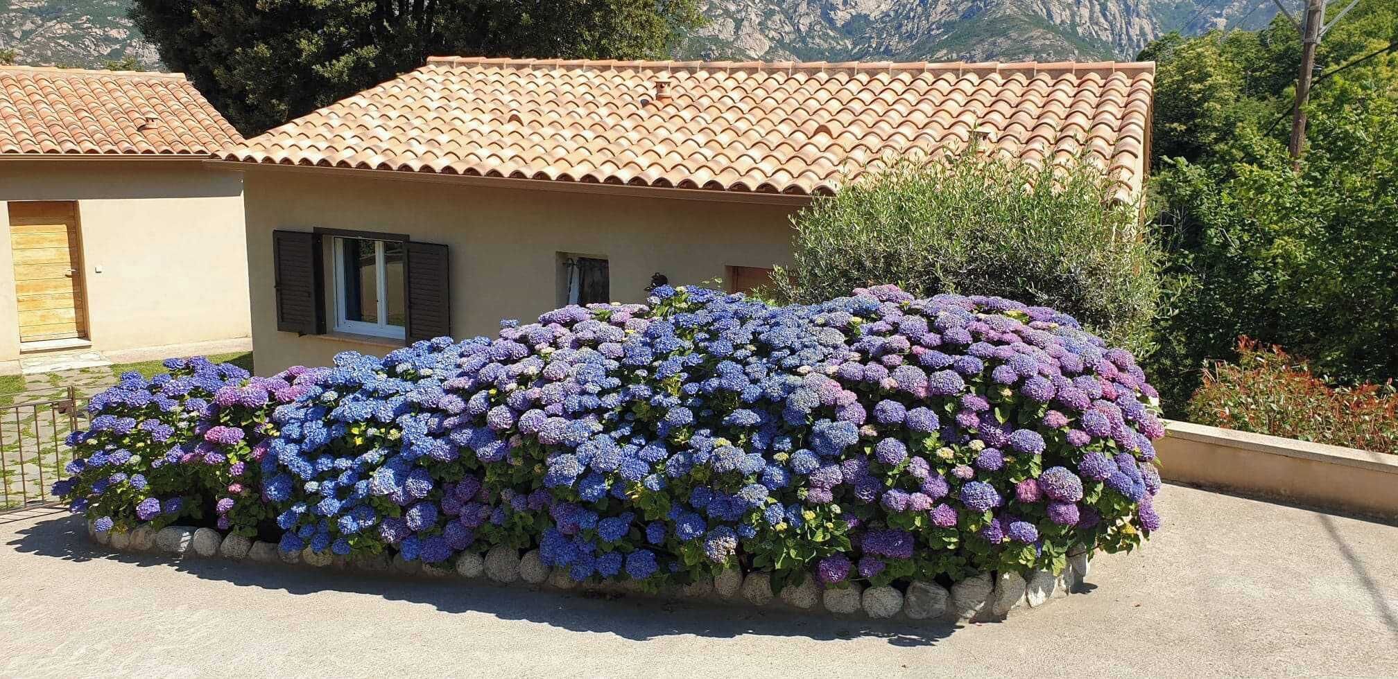 Un bâtiment doté d’un toit en tuiles et d’un parterre fleuri avec des fleurs violettes et bleues.