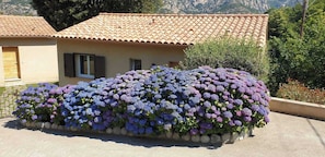 A building with a tiled roof and a flower bed with purple and blue flowers. - d'Oro - BOCOGNANO - Guest house (BOCOGNANO)