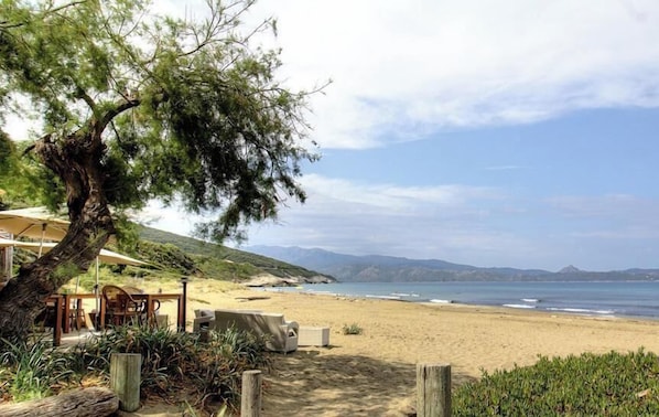 Ein Strand mit einer Holzkonstruktion, einem Baum und Blick auf den Ozean.