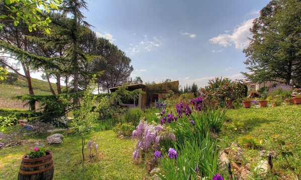 Ein Garten mit unterschiedlichen Pflanzen und Blumen, ein rustikales Gebäude und ein klarer Himmel.