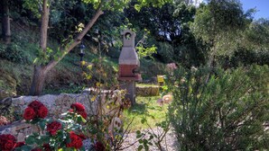 A garden with a stone bench, red roses, and various shrubs. - Casa Mea - MONTICELLO (MONTICELLO)
