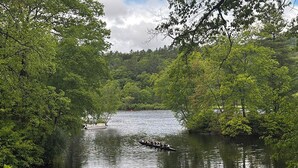 Un lago sereno rodeado de abundante vegetación, un muelle y un muro de piedra.