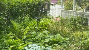 A garden with various plants and a white fence. - Step Back in Time, Relax in Modern Comfort (Camden)