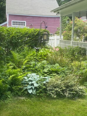 A garden with various plants and a white fence.