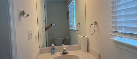 A bathroom with a sink, mirror, and toilet.