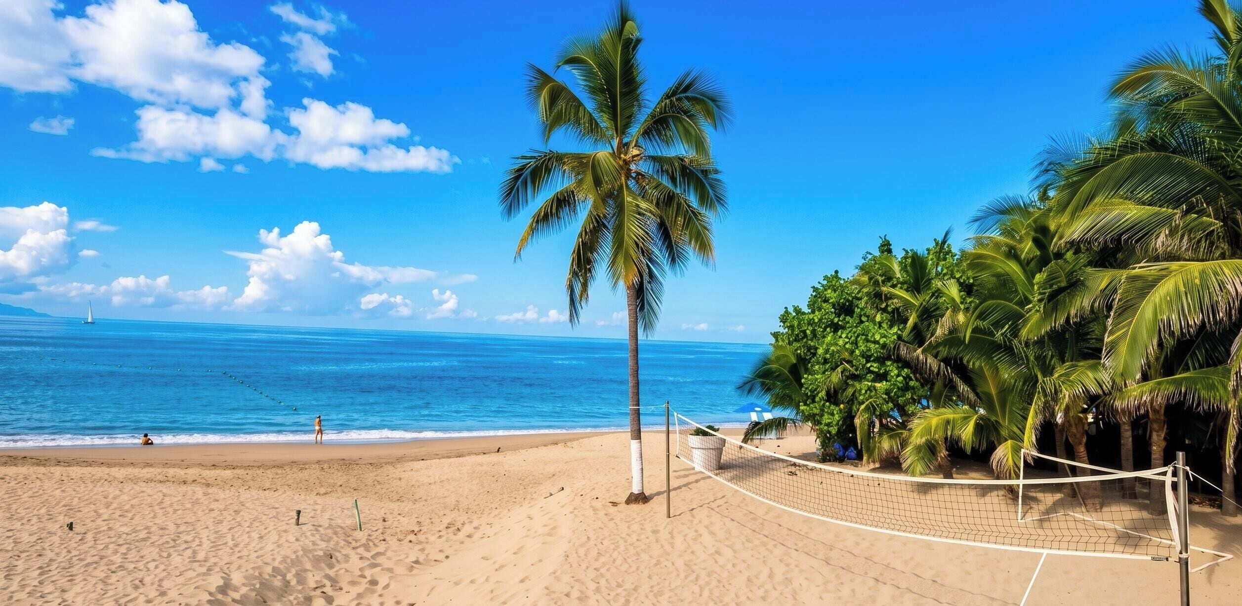 A beach volleyball court with a net, palm trees, and a clear blue sky.