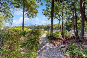 Une zone boisée avec un sentier de gravier menant à un plan d’eau, entouré d’arbres et de verdure.