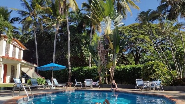 A swimming pool with lounge chairs and umbrellas, surrounded by palm trees and a building with a red roof. - CasaSylvie (Sosua)