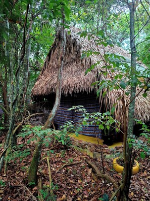 A rustic hut with a thatched roof surrounded by dense forest.