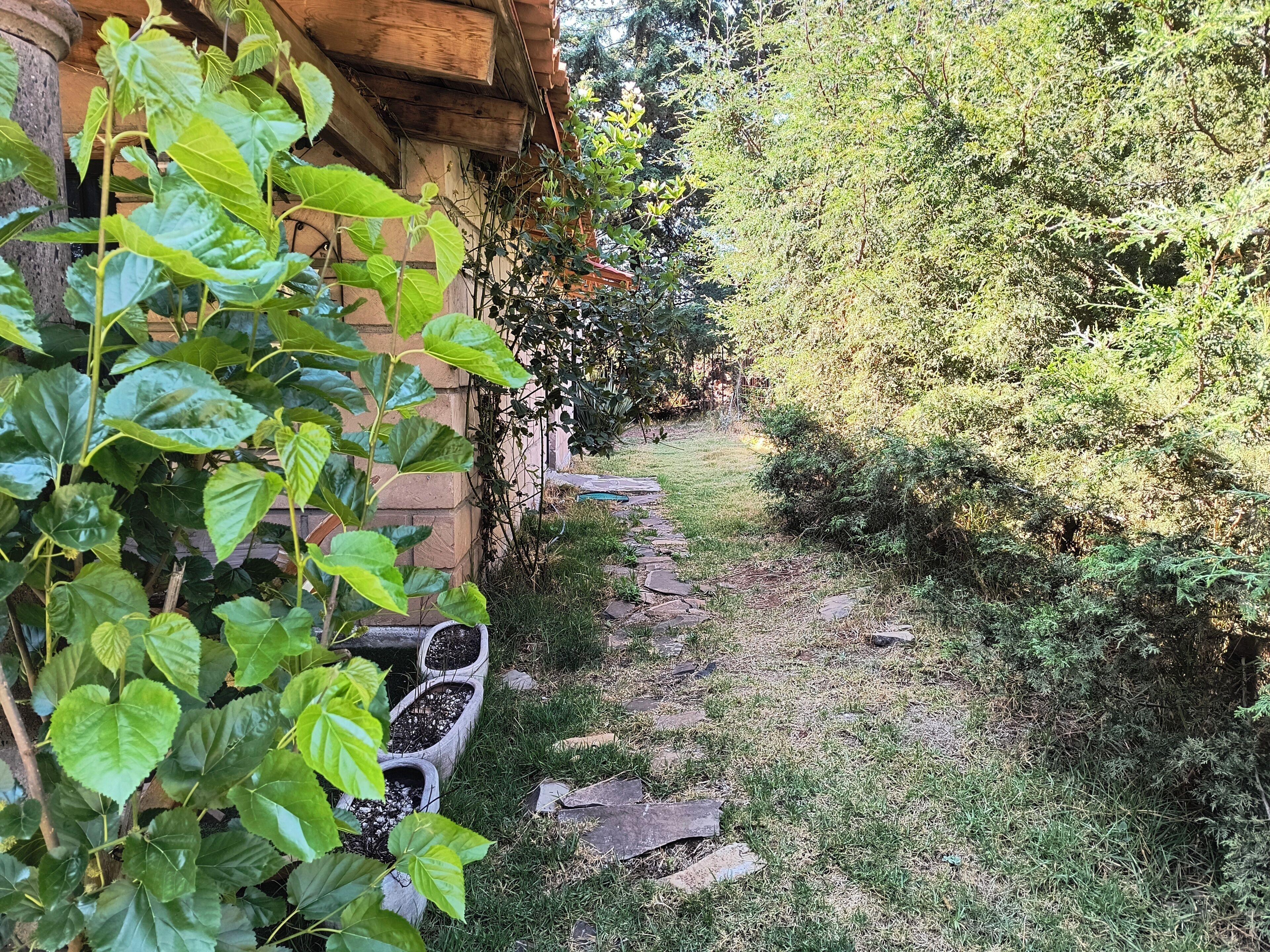 Área da propriedade