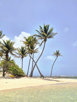 Beach - Vrbo Property (Sainte-Anne)