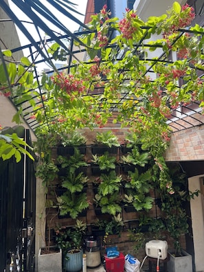 A garden with potted plants, a brick wall, and a metal gate.