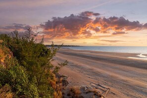 A beach with a wide sandy shore, a clear sky, and some vegetation in the foreground.