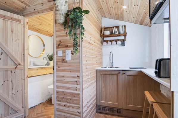 A wooden interior with a sink, mirror, and hanging plants.