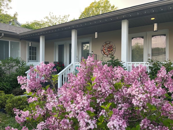 Una casa con porche, un adorno de pared y arbustos de lilas florecientes.