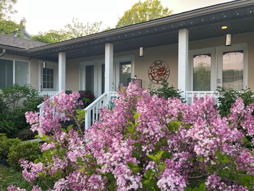Morning Light, Garden Views, and Quiet Moments
