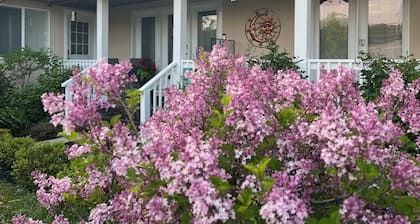 Morning Light, Garden Views, and Quiet Moments