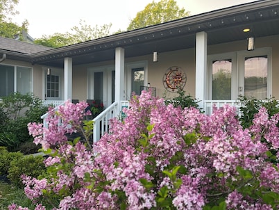 Morning Light, Garden Views, and Quiet Moments