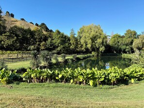 A serene landscape with a pond, lush greenery, and a wooden fence.