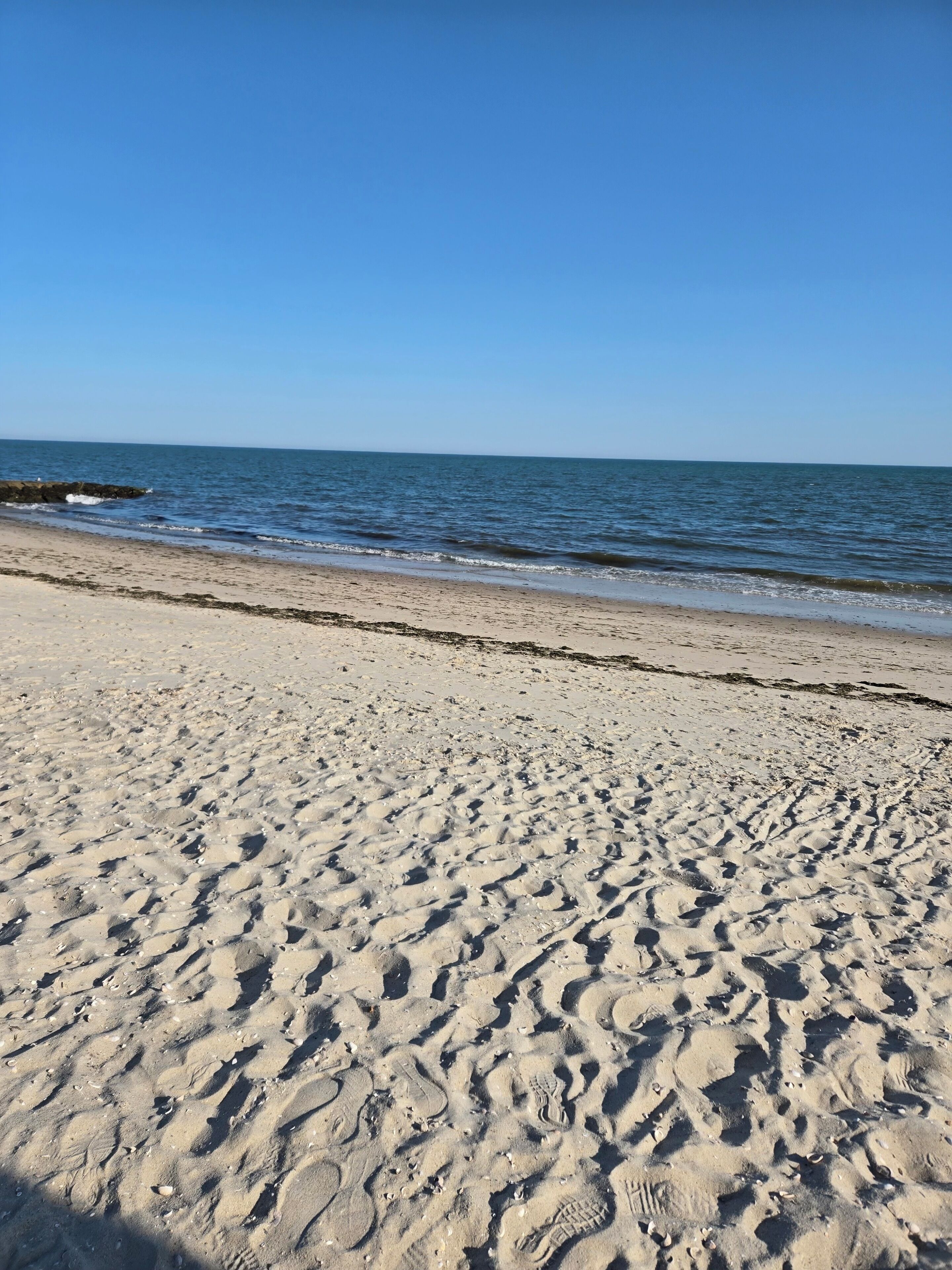 Una playa arenosa con huellas y algas marinas, que se extiende hasta aguas oceánicas tranquilas bajo un cielo despejado.