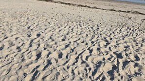 Une plage de sable où l’on peut voir des empreintes et des algues, qui s’étend jusqu’à une mer calme sous un ciel dégagé.