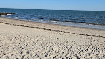 Una playa arenosa con huellas y algas marinas, que se extiende hasta aguas oceánicas tranquilas bajo un cielo despejado.