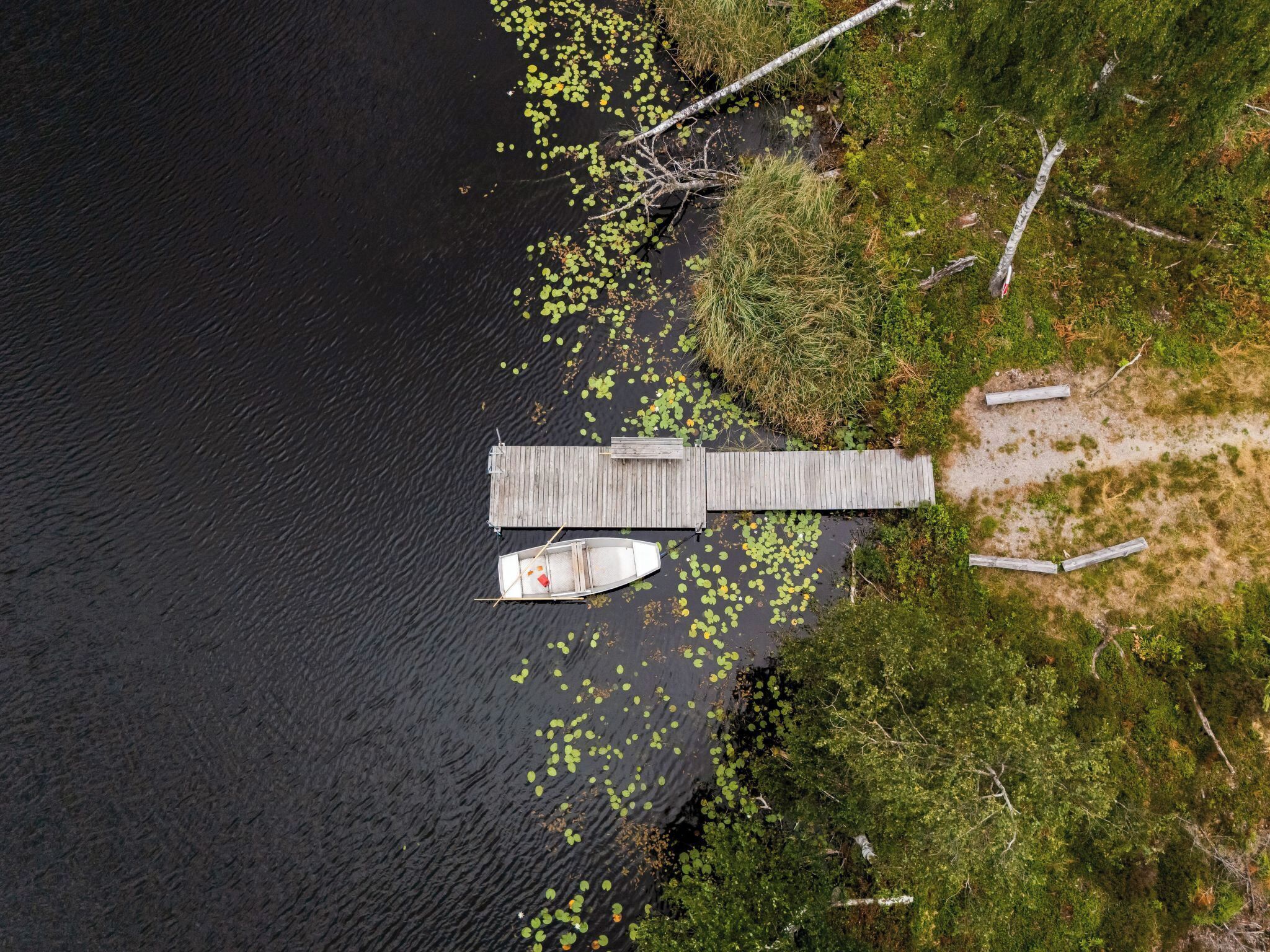A wooden dock extending into a body of water with a small boat moored at the end.