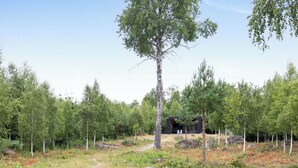 A wooden pathway leading to a modern building surrounded by a forest. - Paradiset 2 by Interhome (Holmsjö)