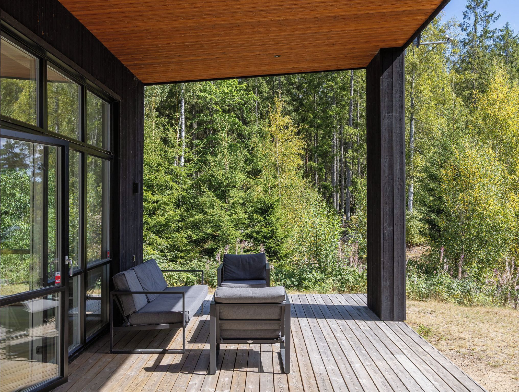 A covered deck with two sofas and a table, overlooking a forest.