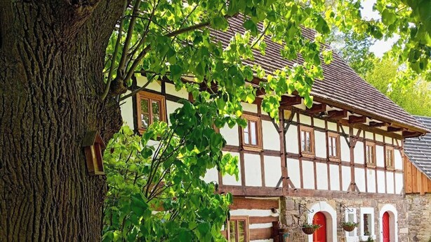 A traditional half-timbered house with a stone foundation, multiple windows, and a red door.