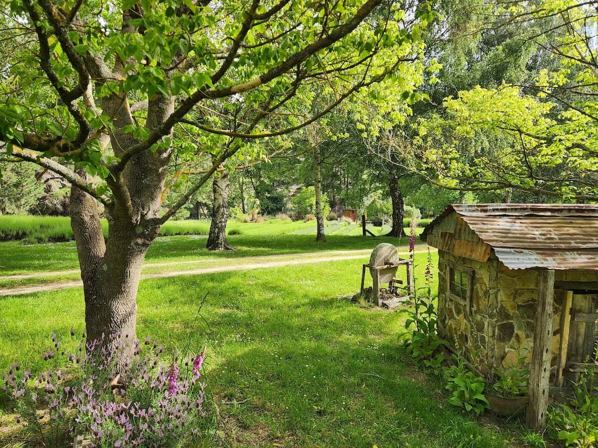 Un entorno rústico al aire libre con una construcción de piedra, un árbol grande y un sendero.