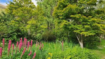 Un jardin où l’on trouve une variété de plantes et d’arbres.