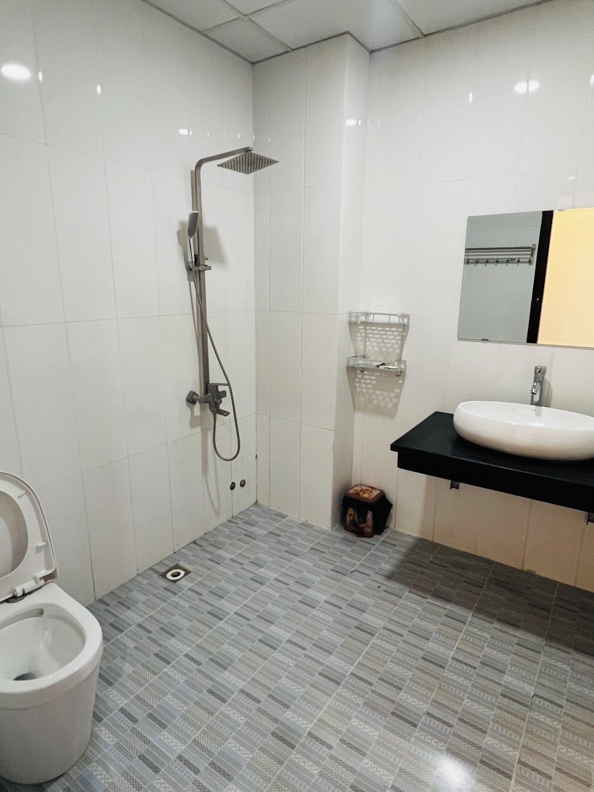 A bathroom with a toilet, a shower, a sink, and a mirror.