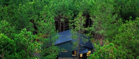 A cabin surrounded by dense forest.