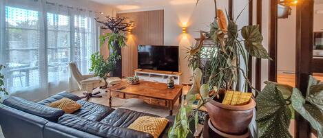 TV, fireplace, table tennis