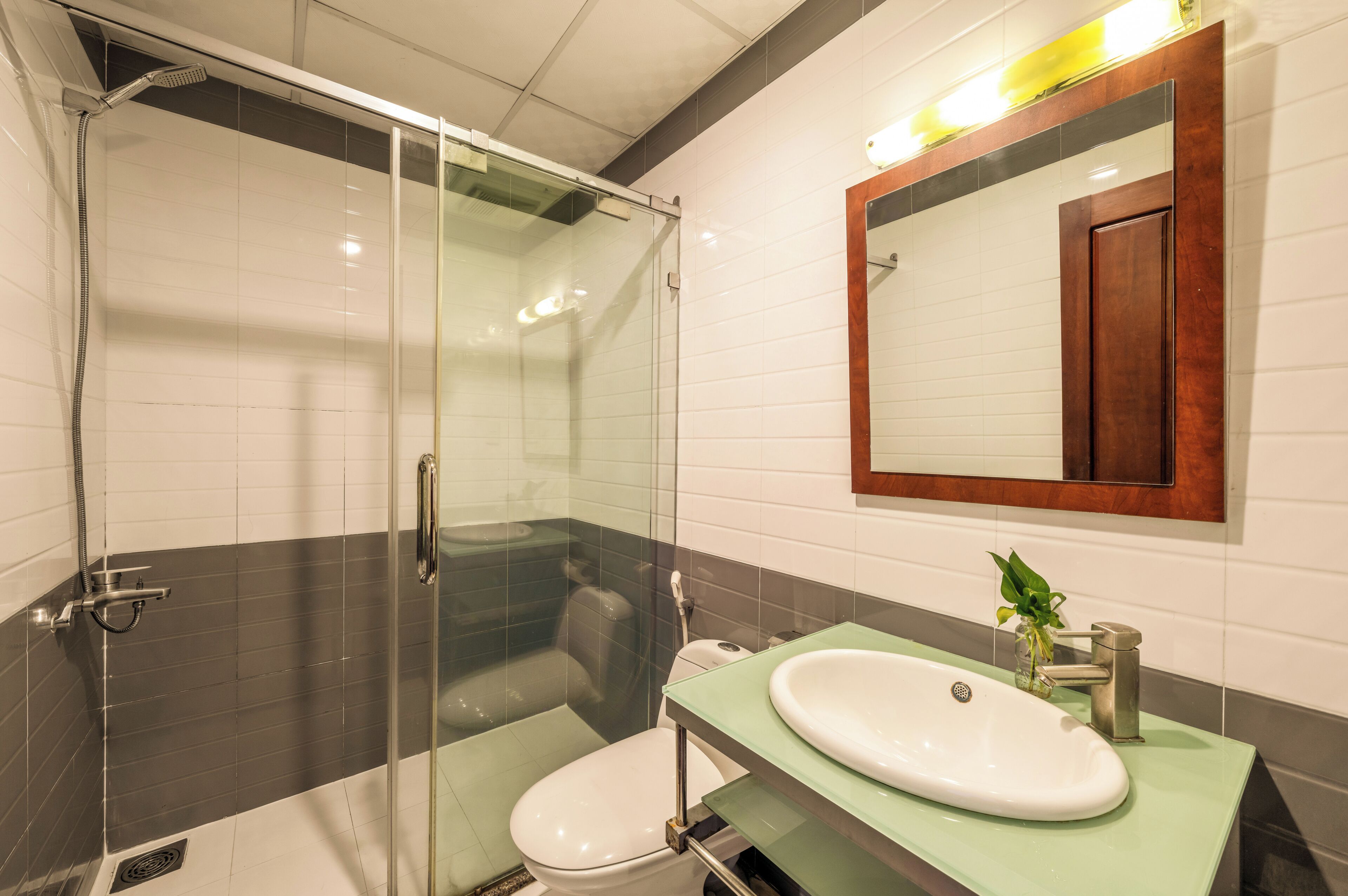 A modern bathroom with a glass-enclosed shower, a toilet, and a sink with a mirror above.