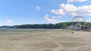 Une plage avec une grande roue, une étendue de sable et une colline boisée en arrière-plan.