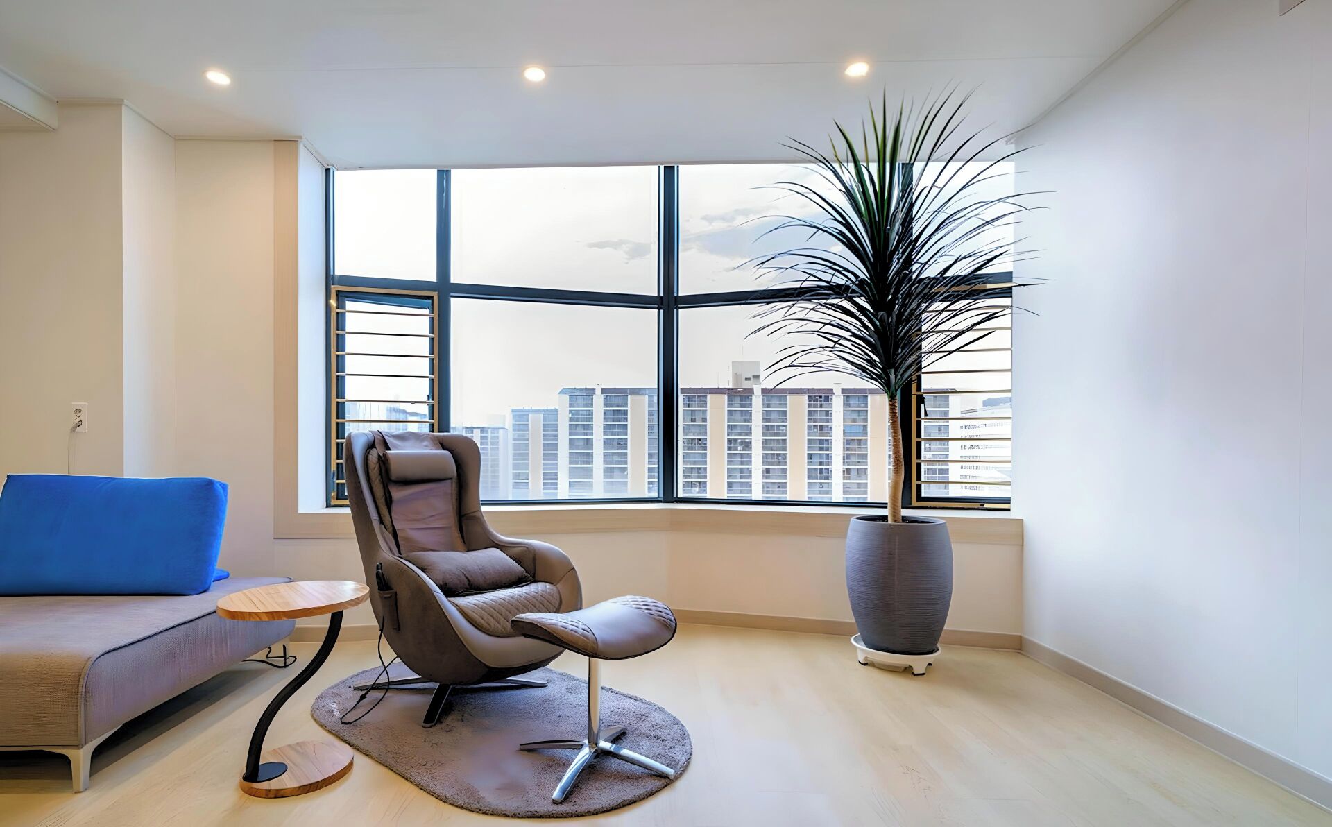 A modern living room with a large window, a grey chair, a blue sofa, and a tall potted plant.