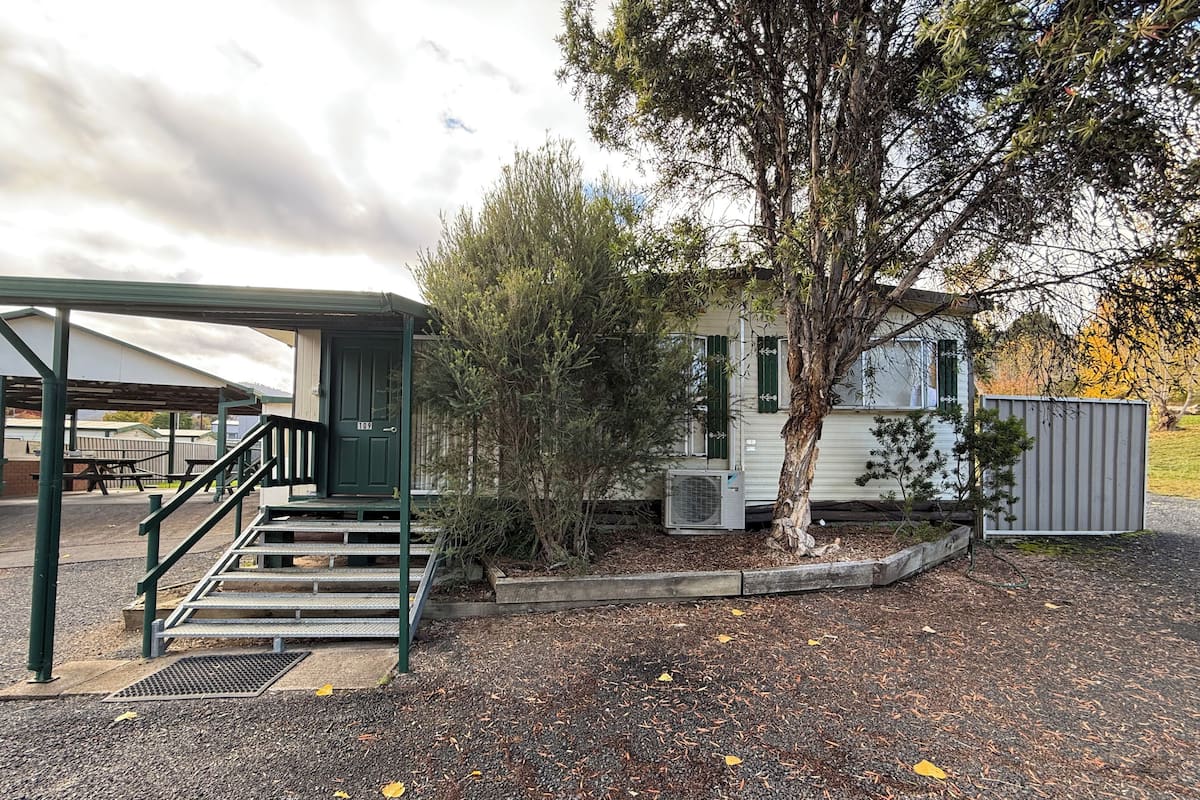 A covered outdoor area with a staircase leading to a building, a tree, and a utility shed.