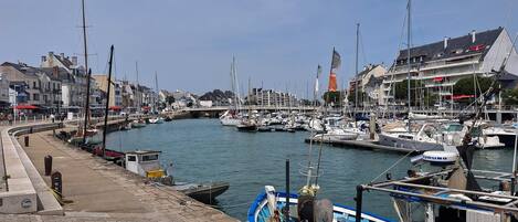 A marina with boats docked, a waterfront promenade, and buildings along the shore.