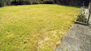 A grassy yard with a gravel path and a building on the right.