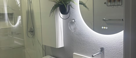 Regadera, secadora de cabello, toallas, jabón