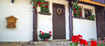 Herlíkovice by Interhome