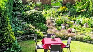 Une terrasse de jardin avec une table et des chaises, entourée d’une végétation luxuriante et d’un mur de pierre.