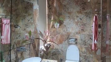 Shower, hair dryer, towels, soap