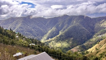 Imagen general